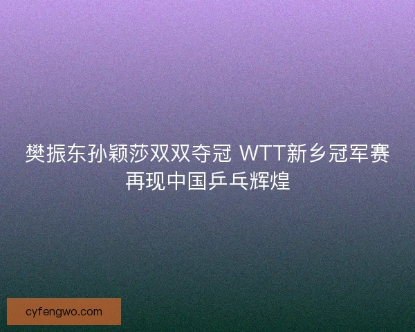 樊振东孙颖莎双双夺冠 WTT新乡冠军赛再现中国乒乓辉煌