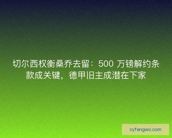 切尔西权衡桑乔去留：500 万镑解约条款成关键，德甲旧主成潜在下家