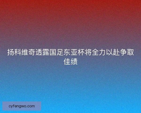 扬科维奇透露国足东亚杯将全力以赴争取佳绩